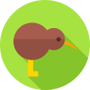 kiwi 