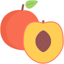 fruta icon