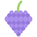 fruta icon