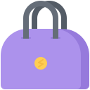 bolsa icon