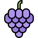 fruta icon