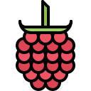 fruta icon