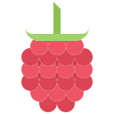 fruta icon