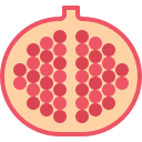 fruta icon