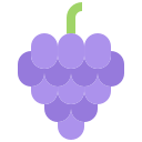 fruta icon