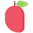 fruta icon