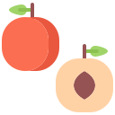 fruta icon