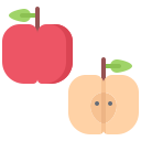 fruta icon