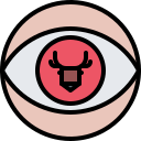 ojo icon