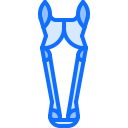 caballo icon