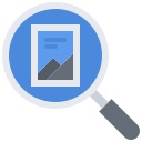 Search 