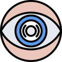 ojo icon