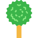 árbol icon