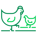 pollo icon