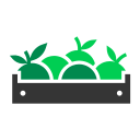 fruta icon