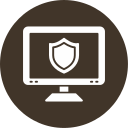 seguridad icon