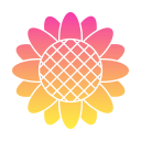 girasol icon