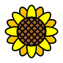 girasol icon