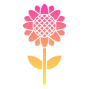 girasol icon