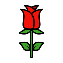 rosa icon