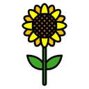 girasol icon