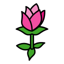 flor de loto icon