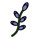 lavanda icon