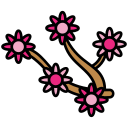 sakura icon