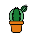 cactus icon