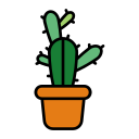 cactus icon