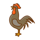 pollo icon