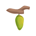 fruta icon