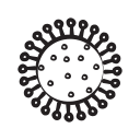 cellule 