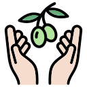 aceitunas icon