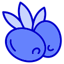 aceituna icon