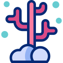 coral animated icon