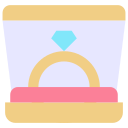 anillo icon