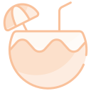 bebida de coco icon