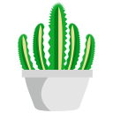 plante d'appartement 