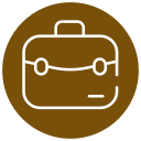 bolsa icon