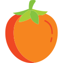 tomate icon