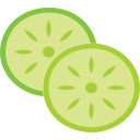 rodaja de pepino icon