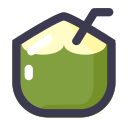 coco icon