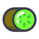 kiwi icon