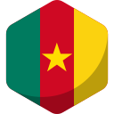 bandera de camerún 