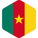 bandera de camerún 