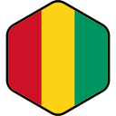 bandera de guinea icon