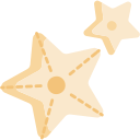 estrella de mar icon