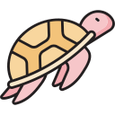 tortuga icon