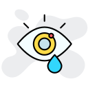 ojo icon